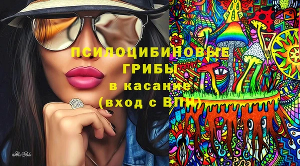 сатива Медвежьегорск
