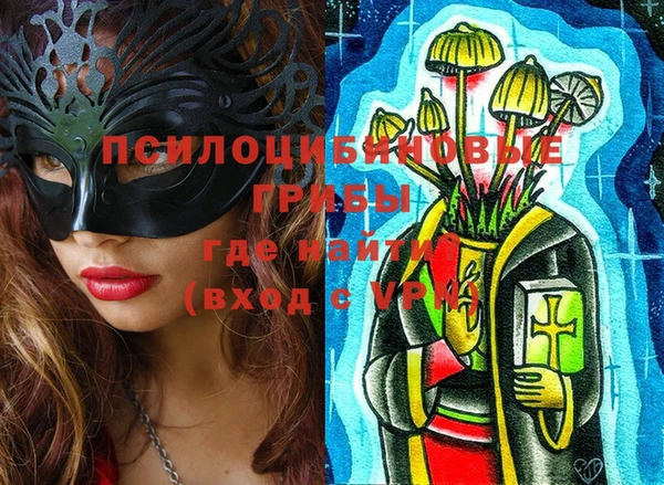 сатива Медвежьегорск
