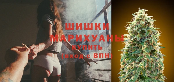 мет Мегион