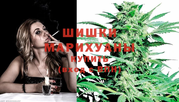 мет Мегион