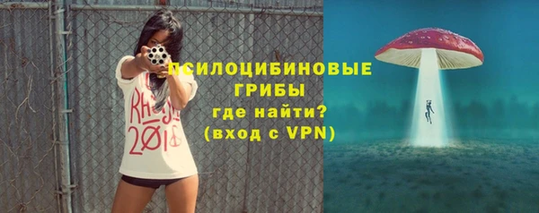 apvp Медногорск