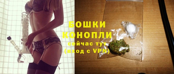 apvp Медногорск