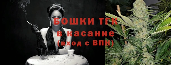 apvp Медногорск