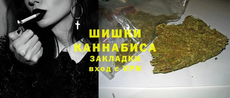 где можно купить   Западная Двина  Каннабис White Widow 